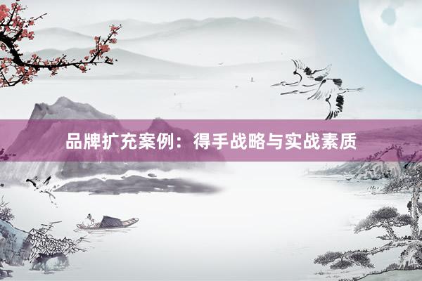 品牌扩充案例：得手战略与实战素质