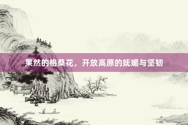 果然的格桑花，开放高原的妩媚与坚韧