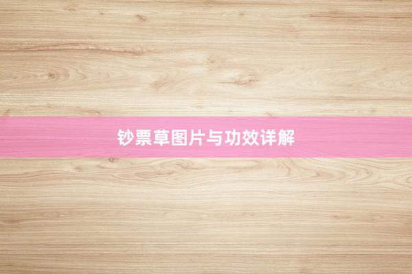 钞票草图片与功效详解